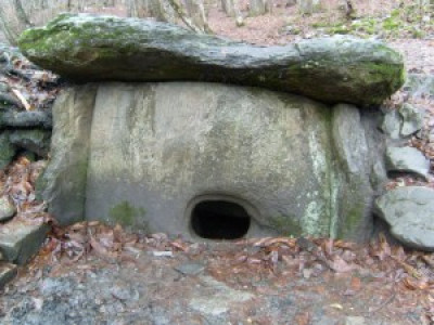Хит-парад сочинских чудес