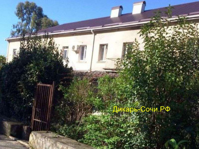 Квартира в центре Гагра, проспект Ардзинба, 70 Квартира в центре Гагра, проспект Ардзинба, 70