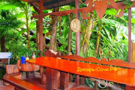 Хоста гостевой дом «Андрей» ул. Шоссейная, 8 «А»