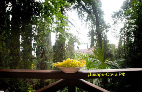 Частный сектор «Луна» Гагра ул. Героев 16 марта, 14
