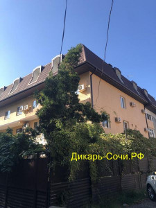 Гостевой дом «Обь» Адлер, ул. Ленина, 219/8