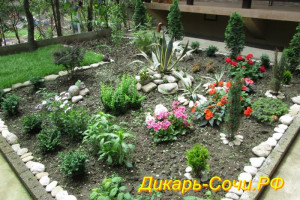 Частный сектор «Сосновый» Адлер, ул. Просвещения, 93